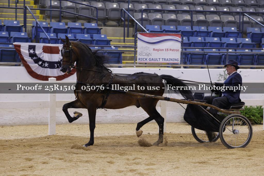 Proof Number 25R1516_05076