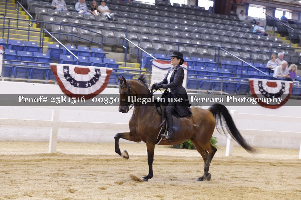Proof Number 25R1516_00350