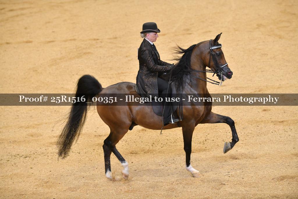 Proof Number 25R1516_00351