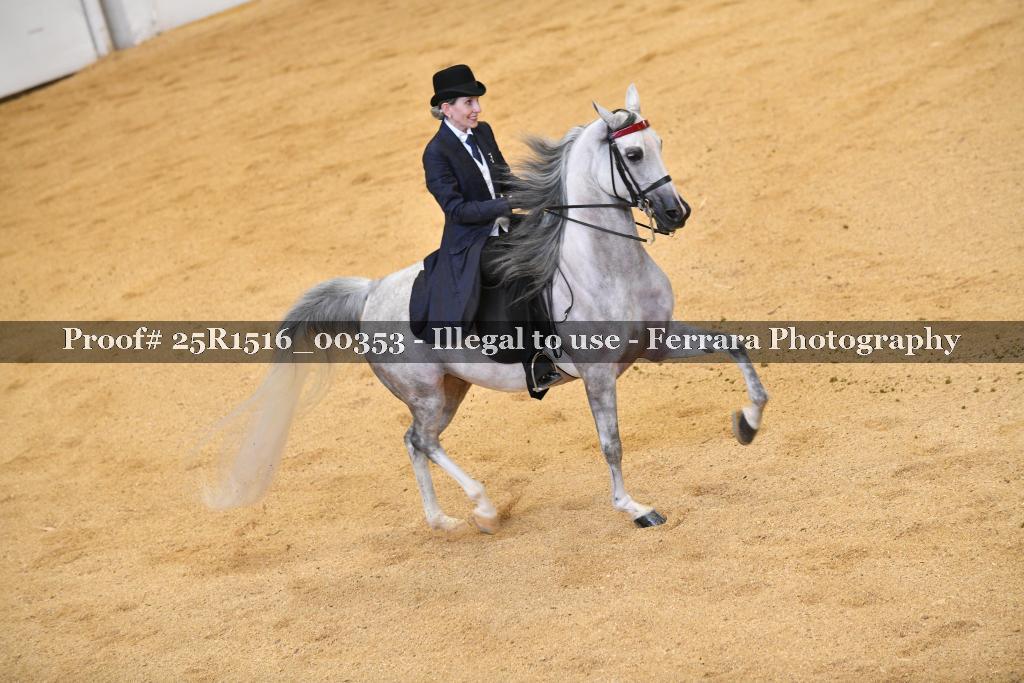 Proof Number 25R1516_00353