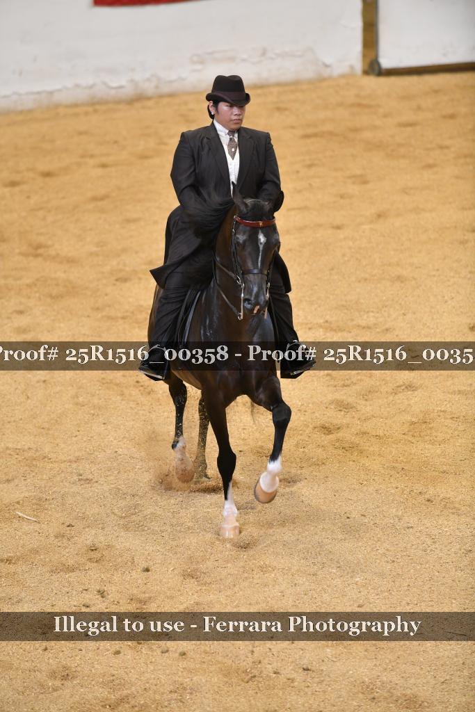 Proof Number 25R1516_00358
