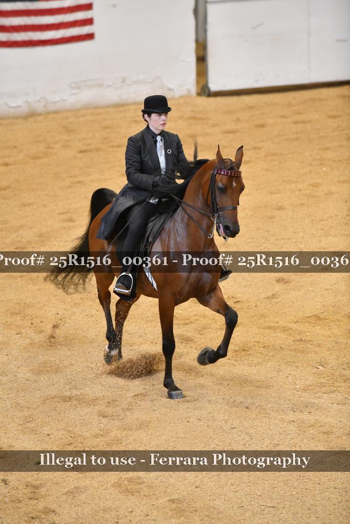 Proof Number 25R1516_00361