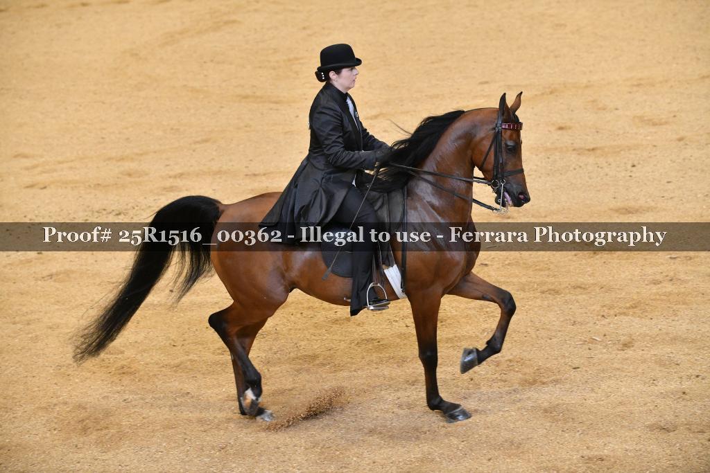 Proof Number 25R1516_00362