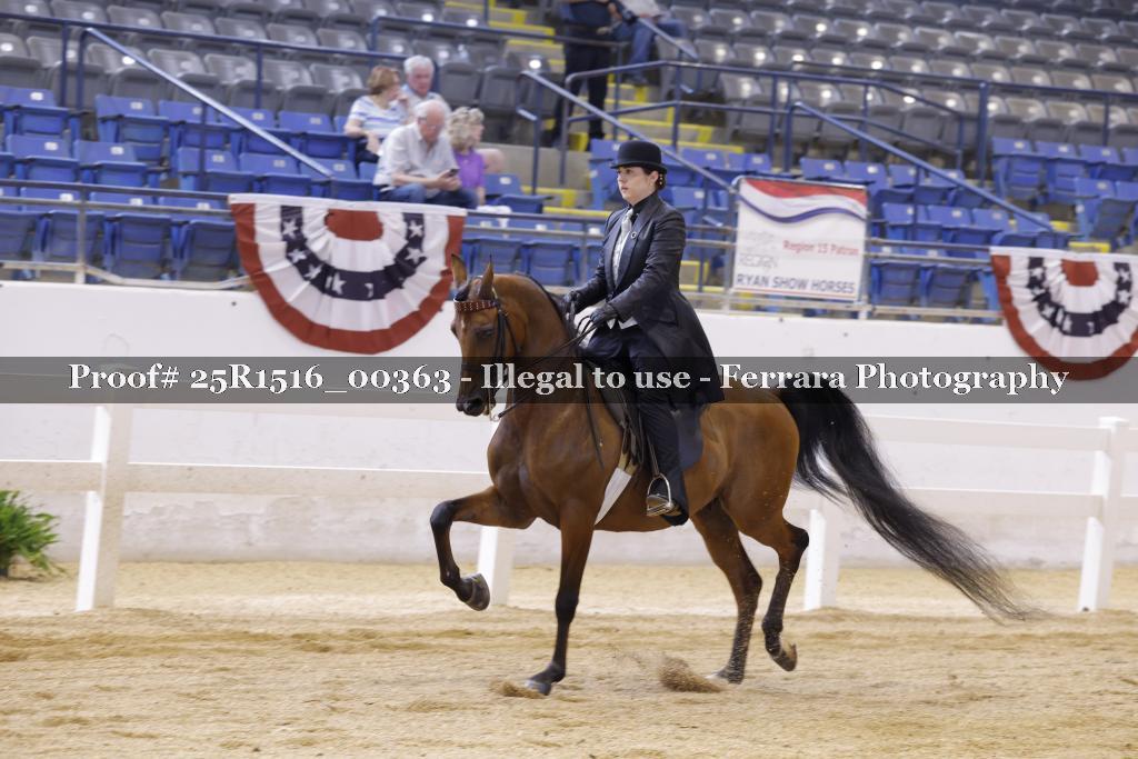 Proof Number 25R1516_00363
