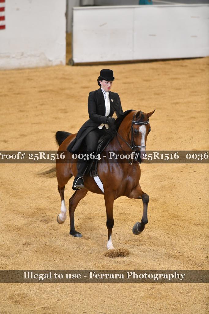 Proof Number 25R1516_00364