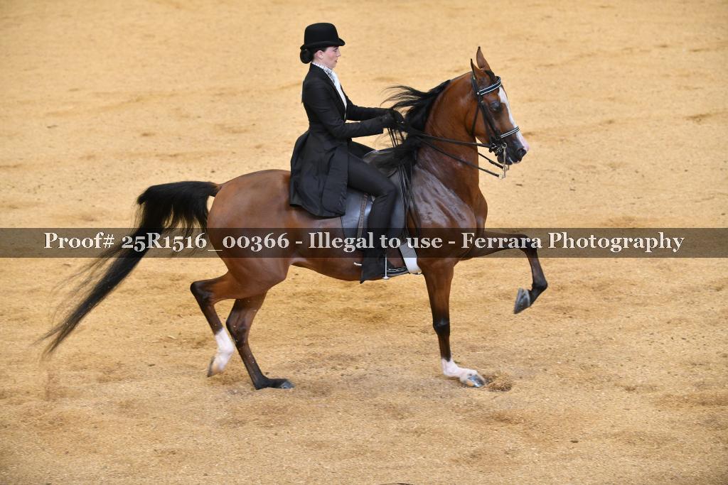 Proof Number 25R1516_00366