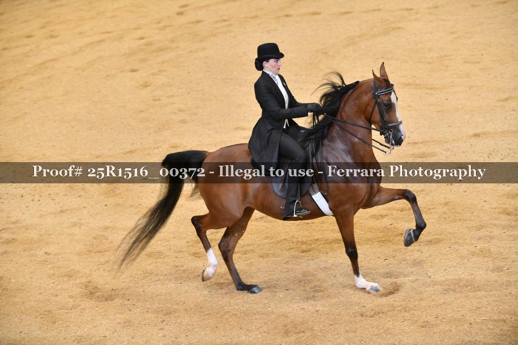 Proof Number 25R1516_00372