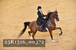 25R1516_00372 thumbnail