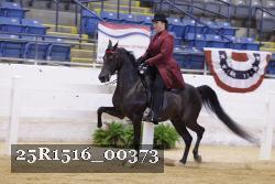 25R1516_00373 thumbnail