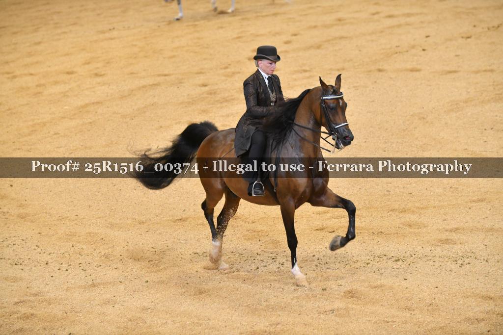 Proof Number 25R1516_00374