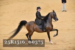 25R1516_00375 thumbnail