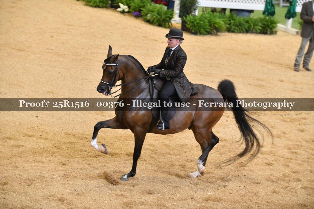 Proof Number 25R1516_00376