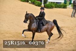 25R1516_00376 thumbnail