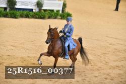 25R1516_00377 thumbnail