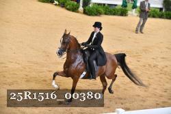 25R1516_00380 thumbnail
