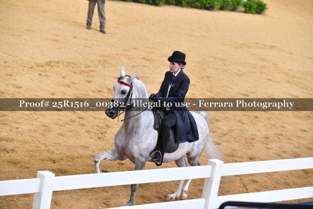 Proof Number 25R1516_00382