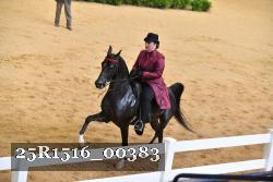 25R1516_00383 thumbnail