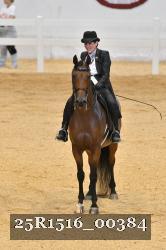 25R1516_00384 thumbnail