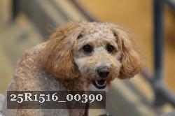 25R1516_00390 thumbnail