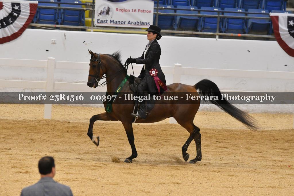Proof Number 25R1516_00397