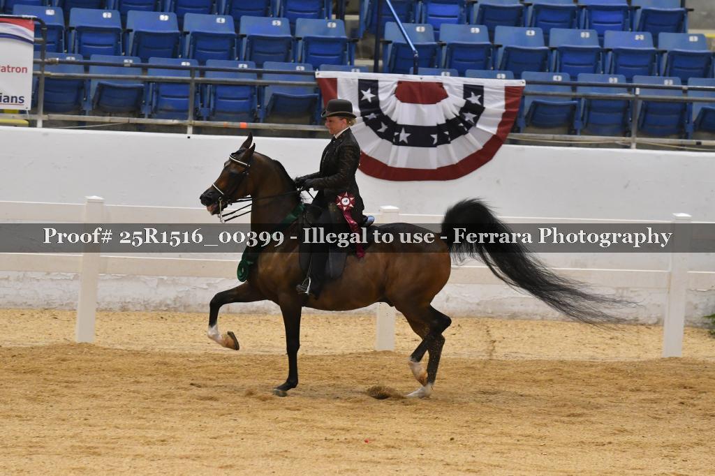 Proof Number 25R1516_00399