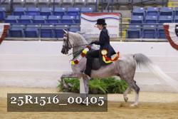 25R1516_00405 thumbnail