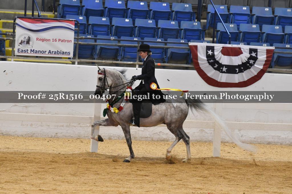 Proof Number 25R1516_00407