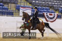 25R1516_00411 thumbnail