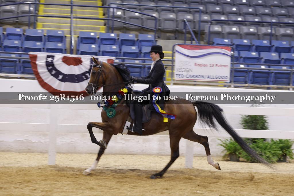 Proof Number 25R1516_00412