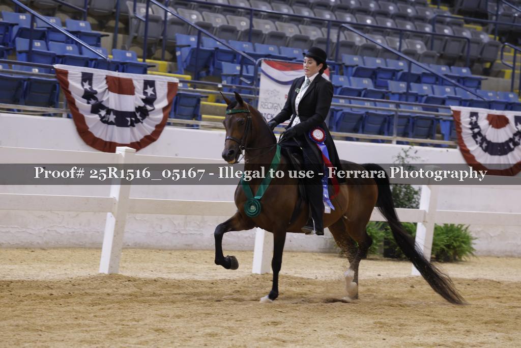 Proof Number 25R1516_05167