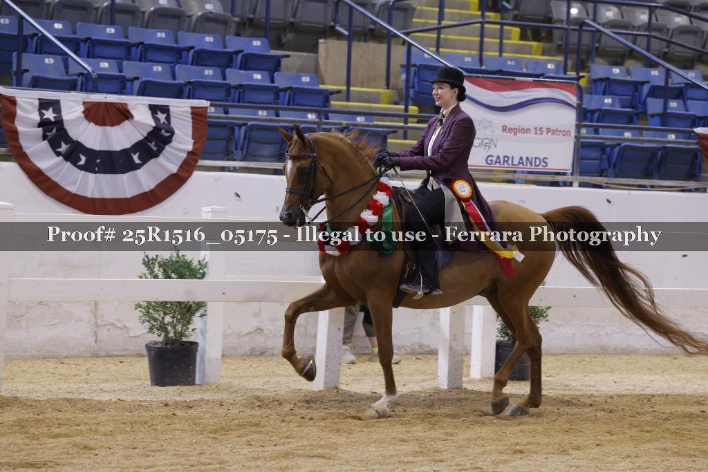 Proof Number 25R1516_05175