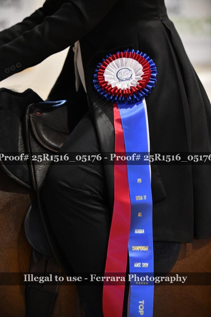 Proof Number 25R1516_05176