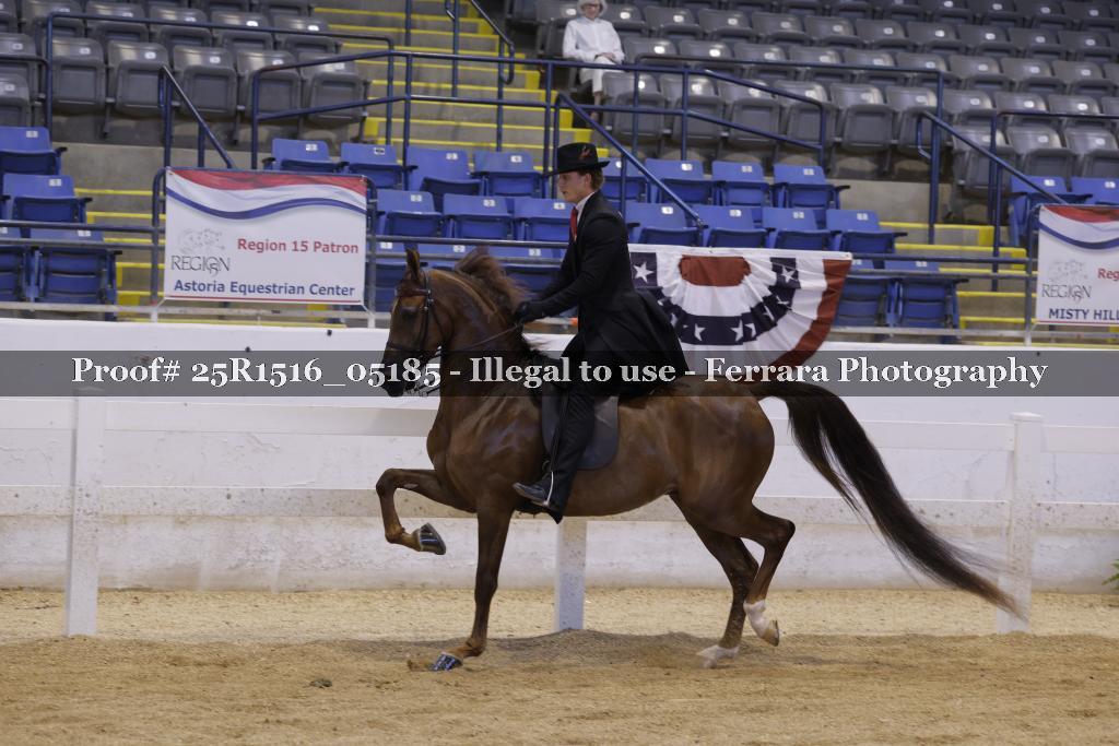 Proof Number 25R1516_05185