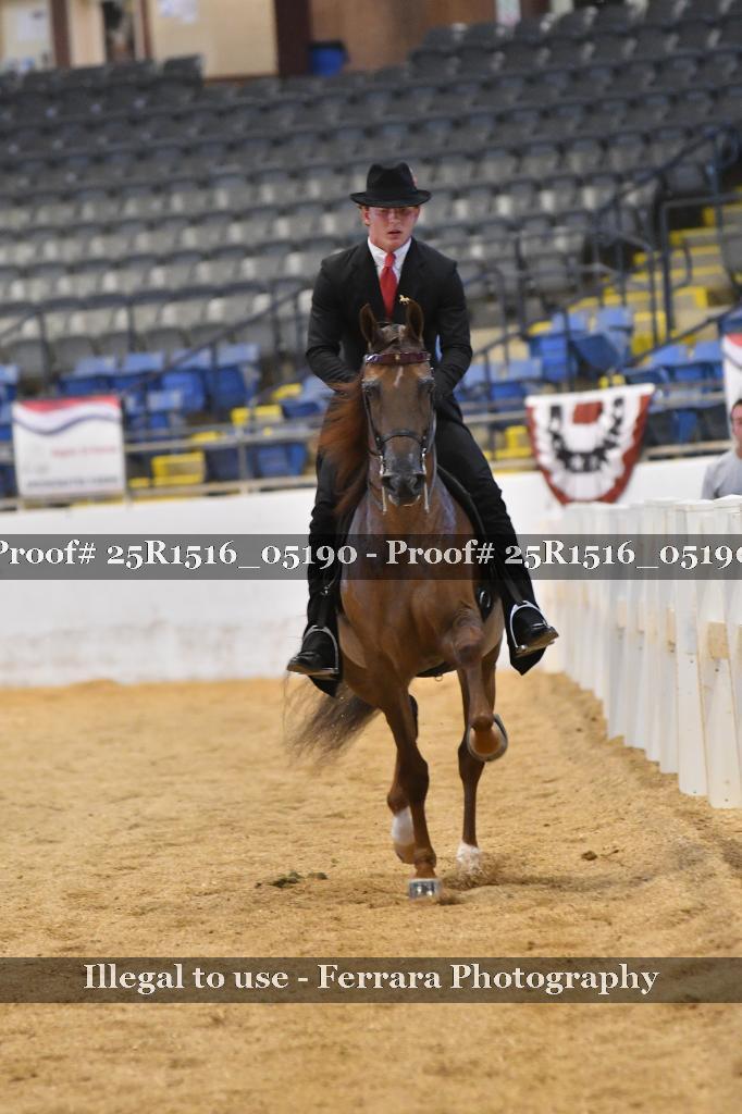 Proof Number 25R1516_05190