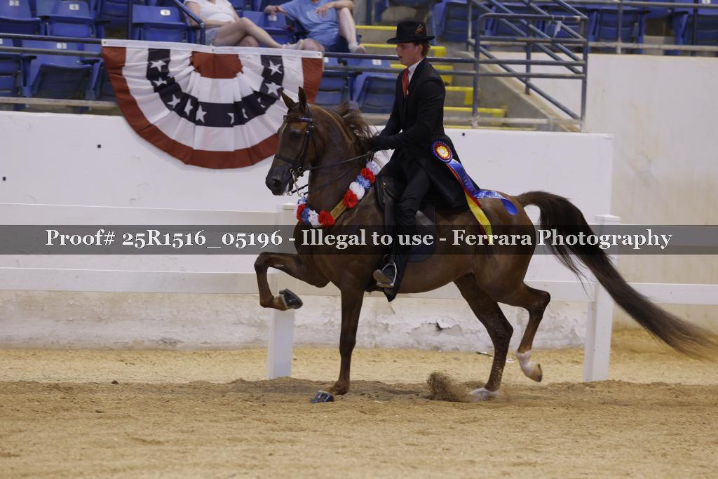 Proof Number 25R1516_05196