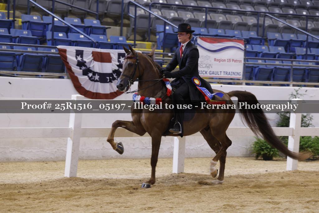 Proof Number 25R1516_05197