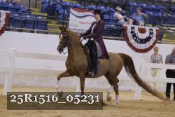 25R1516_05231 thumbnail