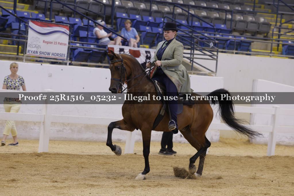 Proof Number 25R1516_05232