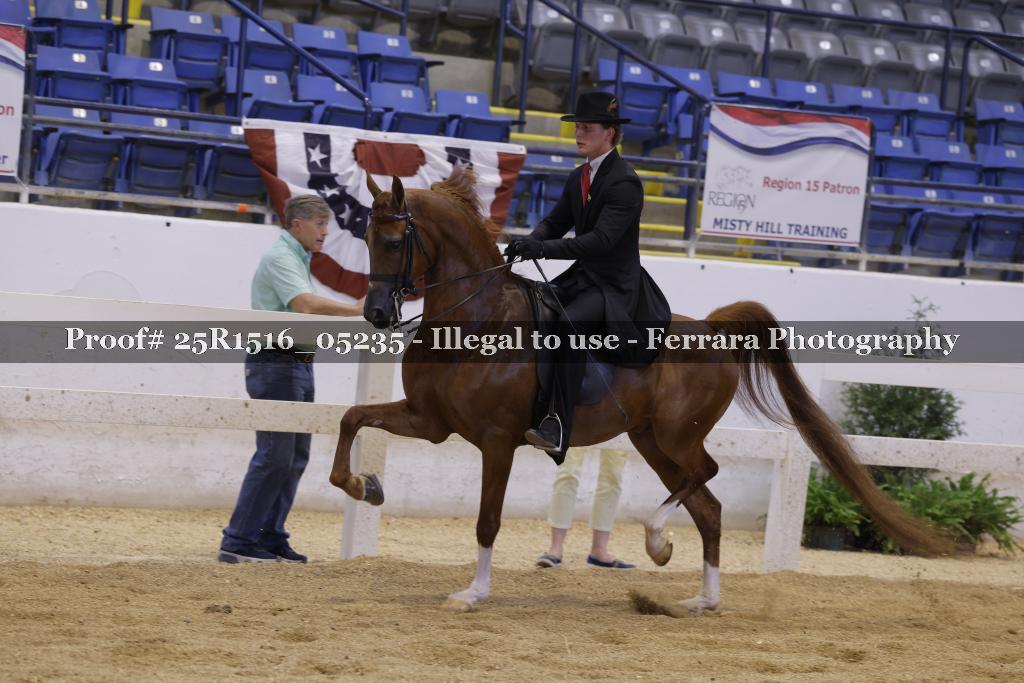 Proof Number 25R1516_05235