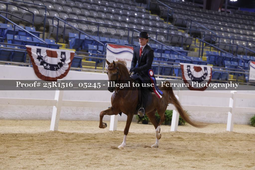 Proof Number 25R1516_05245