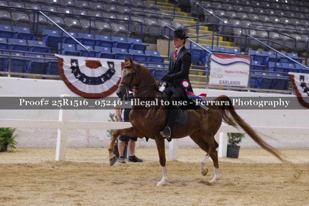Proof Number 25R1516_05246