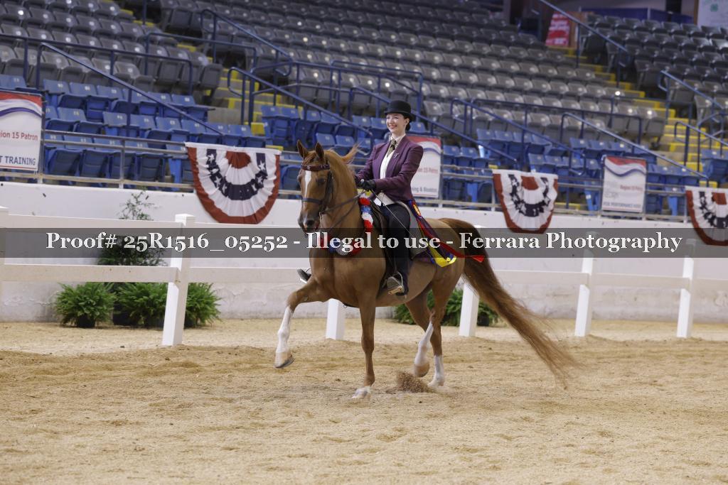 Proof Number 25R1516_05252