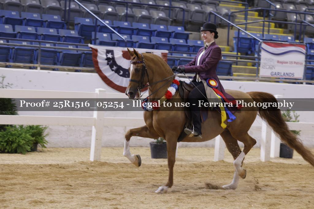 Proof Number 25R1516_05254
