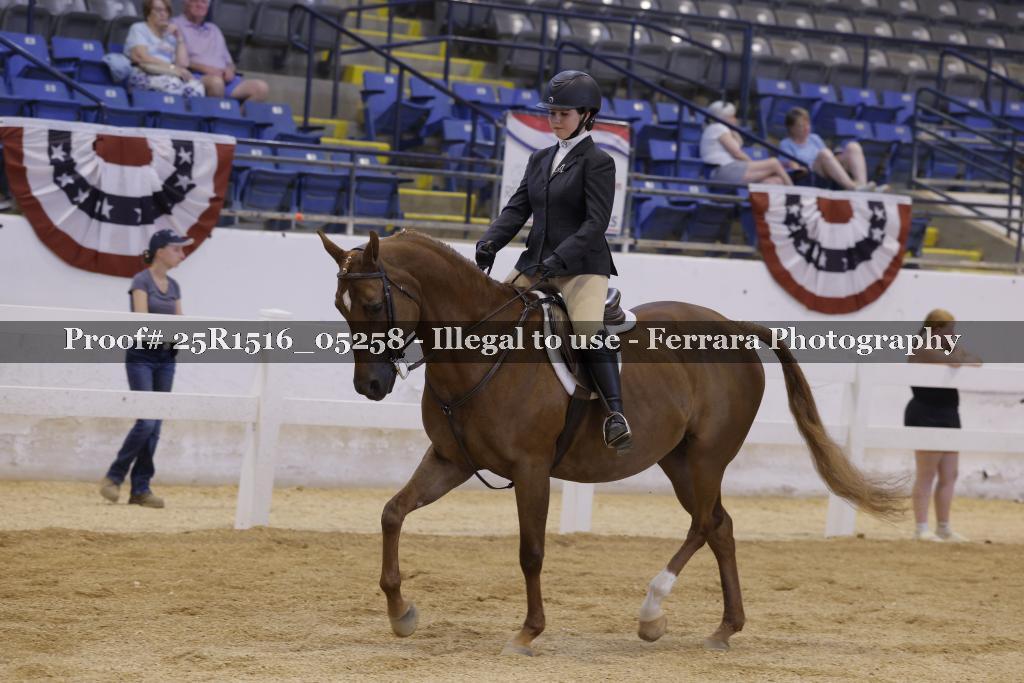 Proof Number 25R1516_05258