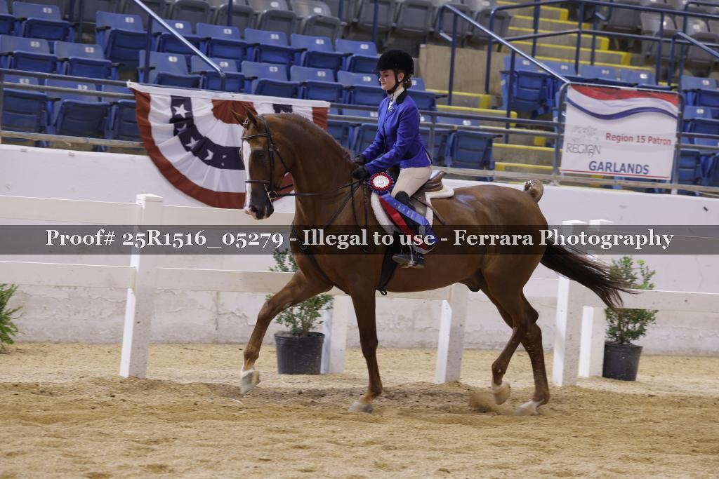 Proof Number 25R1516_05279