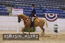 25R1516_05283 thumbnail