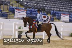 25R1516_05286 thumbnail