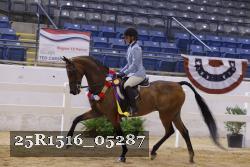 25R1516_05287 thumbnail