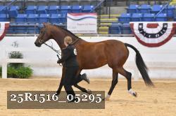 25R1516_05295 thumbnail