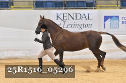 25R1516_05296 thumbnail